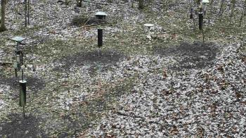 Weather camera view of Cincinnati Nature Center.