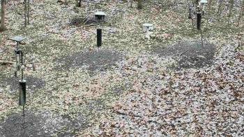 Weather camera view of Cincinnati Nature Center.