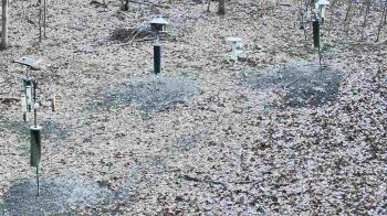 Weather camera view of Cincinnati Nature Center.