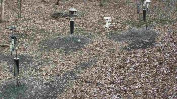 Weather camera view of Cincinnati Nature Center.