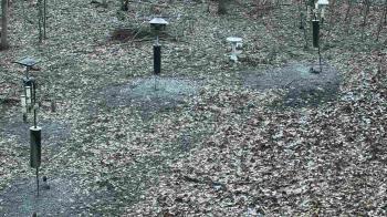Weather camera view of Cincinnati Nature Center.