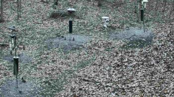 Weather camera view of Cincinnati Nature Center.