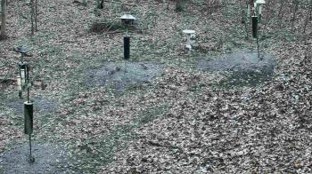 Weather camera view of Cincinnati Nature Center.