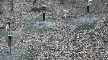 Weather camera view of Cincinnati Nature Center.