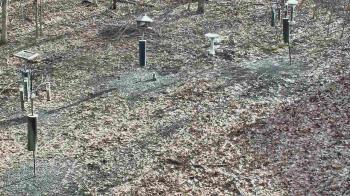 Weather camera view of Cincinnati Nature Center.