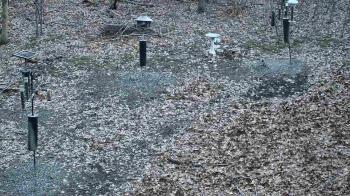 Weather camera view of Cincinnati Nature Center.
