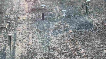 Weather camera view of Cincinnati Nature Center.
