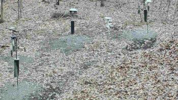 Weather camera view of Cincinnati Nature Center.