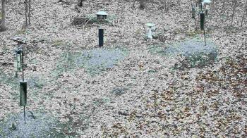Weather camera view of Cincinnati Nature Center.
