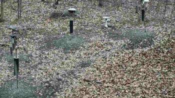 Weather camera view of Cincinnati Nature Center.