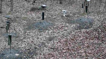 Weather camera view of Cincinnati Nature Center.
