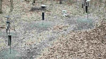Weather camera view of Cincinnati Nature Center.
