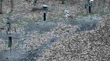 Weather camera view of Cincinnati Nature Center.