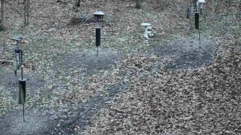 Weather camera view of Cincinnati Nature Center.