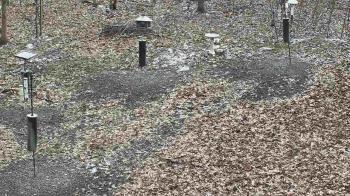 Weather camera view of Cincinnati Nature Center.