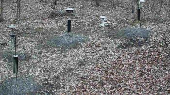 Weather camera view of Cincinnati Nature Center.