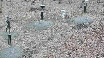 Weather camera view of Cincinnati Nature Center.