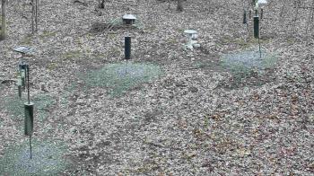 Weather camera view of Cincinnati Nature Center.