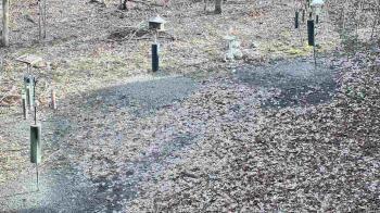 Weather camera view of Cincinnati Nature Center.