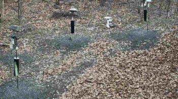 Weather camera view of Cincinnati Nature Center.