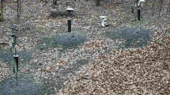 Weather camera view of Cincinnati Nature Center.