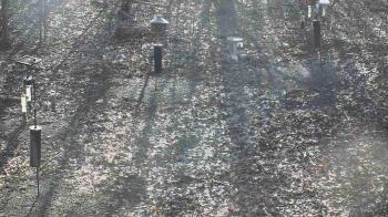 Weather camera view of Cincinnati Nature Center.