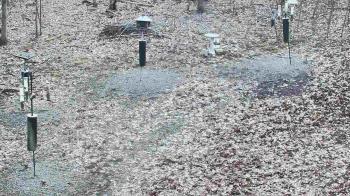 Weather camera view of Cincinnati Nature Center.