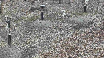 Weather camera view of Cincinnati Nature Center.