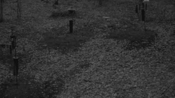 Weather camera view of Cincinnati Nature Center.