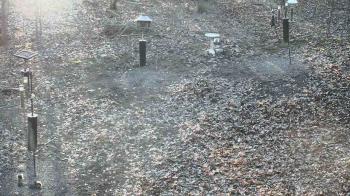 Weather camera view of Cincinnati Nature Center.