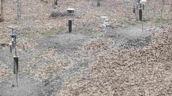 Weather camera view of Cincinnati Nature Center.