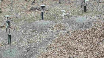 Weather camera view of Cincinnati Nature Center.