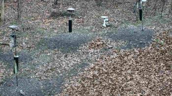 Weather camera view of Cincinnati Nature Center.