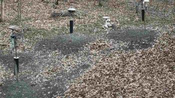 Weather camera view of Cincinnati Nature Center.