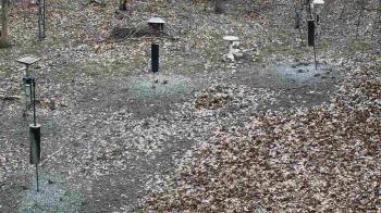 Weather camera view of Cincinnati Nature Center.
