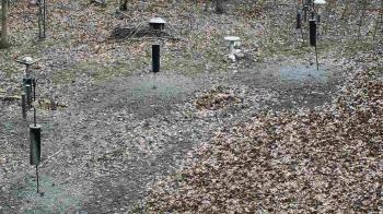 Weather camera view of Cincinnati Nature Center.