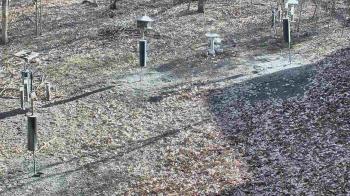 Weather camera view of Cincinnati Nature Center.