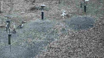 Weather camera view of Cincinnati Nature Center.