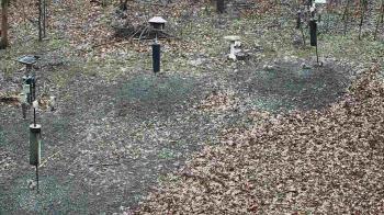 Weather camera view of Cincinnati Nature Center.