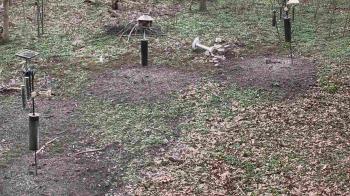 Weather camera view of Cincinnati Nature Center.