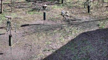 Weather camera view of Cincinnati Nature Center.