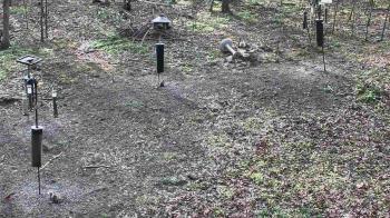 Weather camera view of Cincinnati Nature Center.