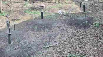 Weather camera view of Cincinnati Nature Center.