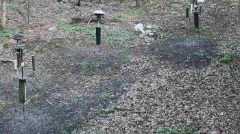 Weather camera view of Cincinnati Nature Center.