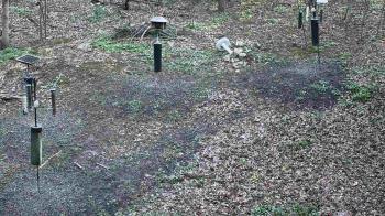 Weather camera view of Cincinnati Nature Center.