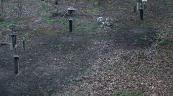 Weather camera view of Cincinnati Nature Center.