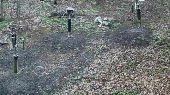 Weather camera view of Cincinnati Nature Center.