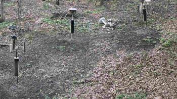 Weather camera view of Cincinnati Nature Center.