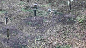 Weather camera view of Cincinnati Nature Center.