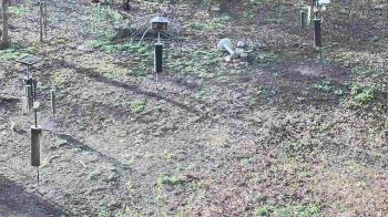 Weather camera view of Cincinnati Nature Center.